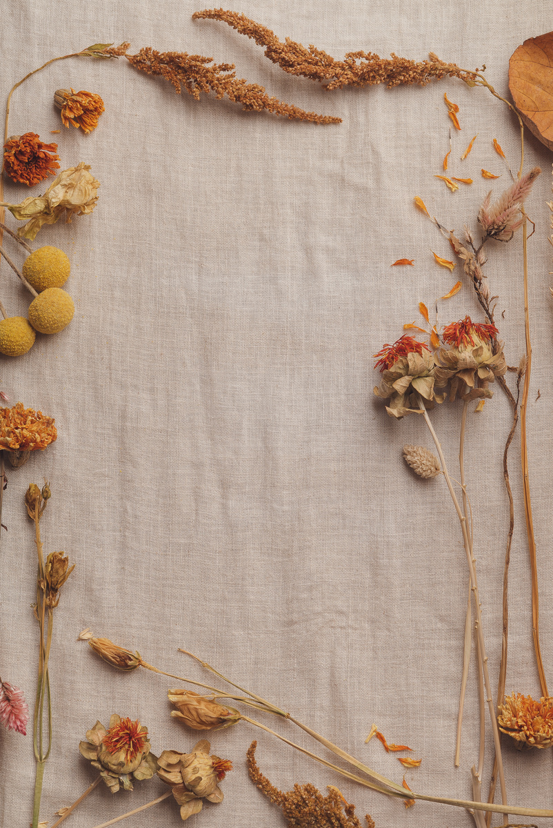 Autumn Botanicals Flatlay on Fabric